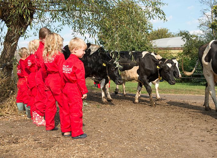 FarmCamps Op de Beemd