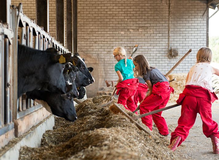 FarmCamps Op de Beemd