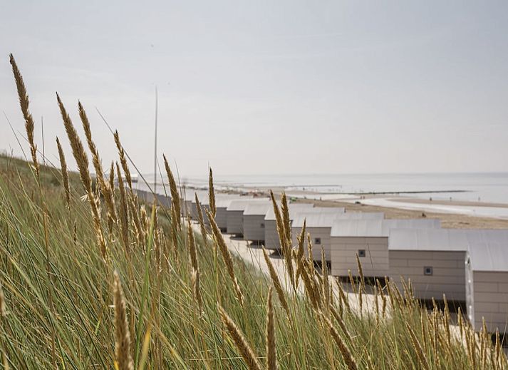 Strandhuisjes Julianadorp