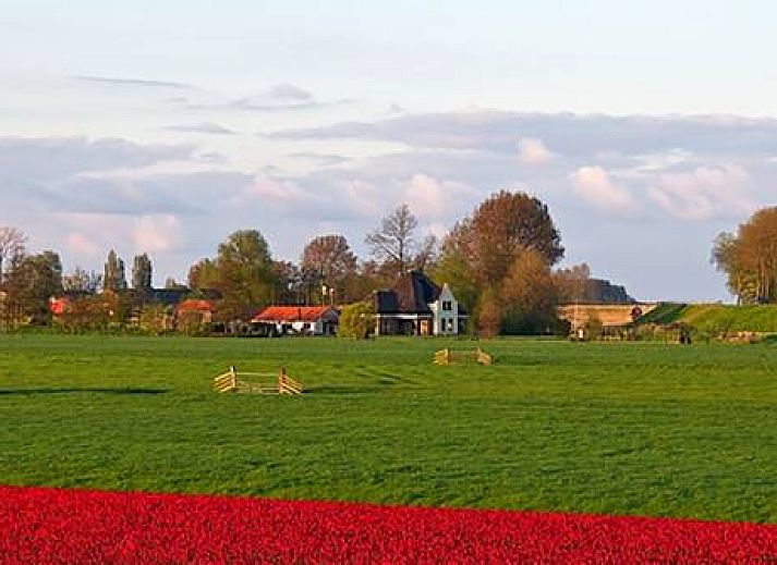 Hotelhuisjes Oosterleek