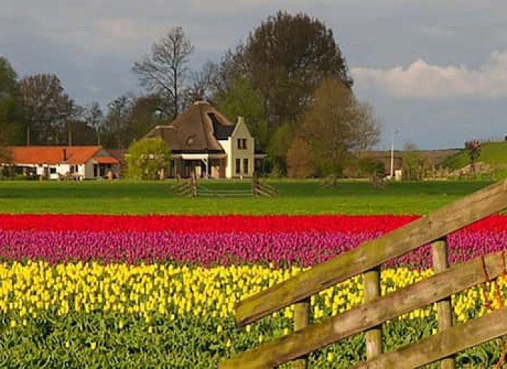 Hotelhuisjes Oosterleek