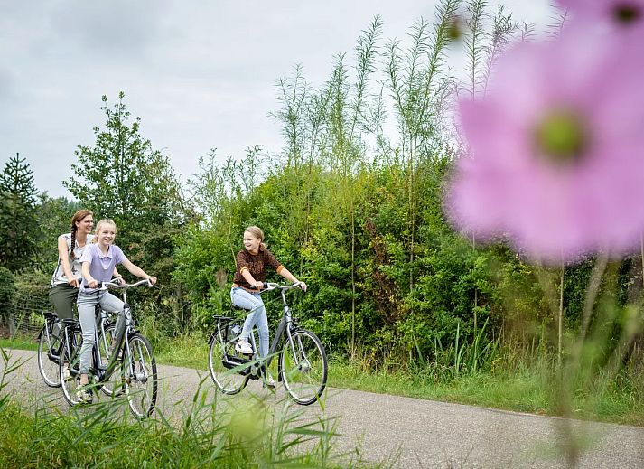 Landal De Reeuwijkse Plassen