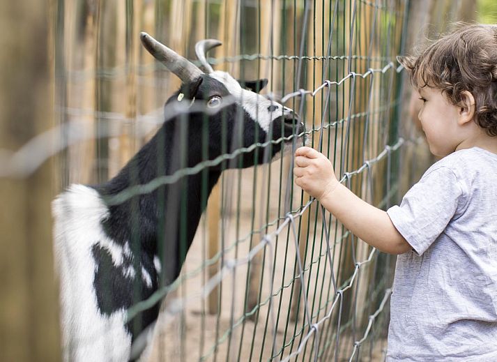 Landal De Reeuwijkse Plassen