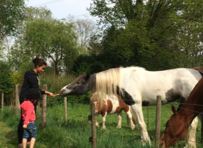 Camping de Peelweide