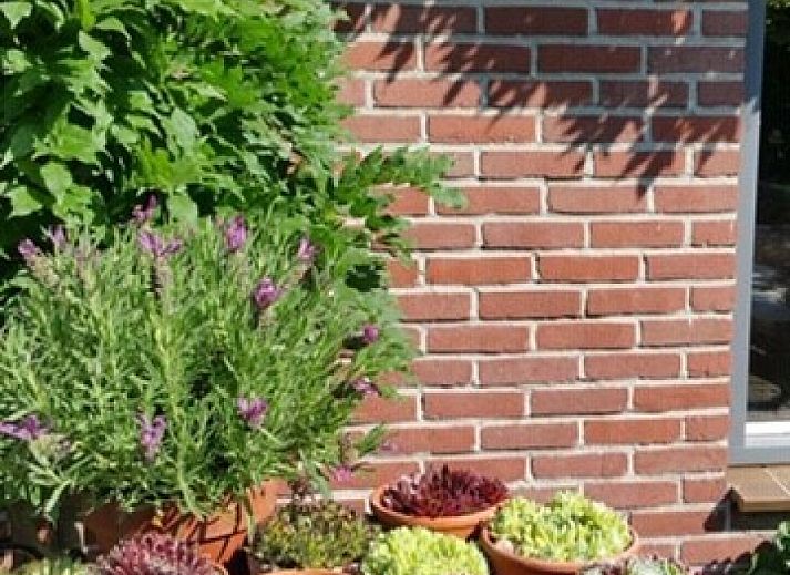 Camping de Peelweide