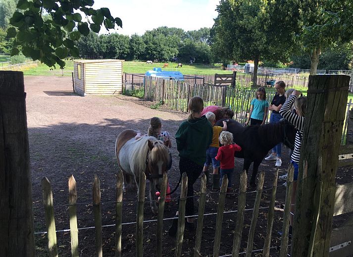 Camping de Peelweide