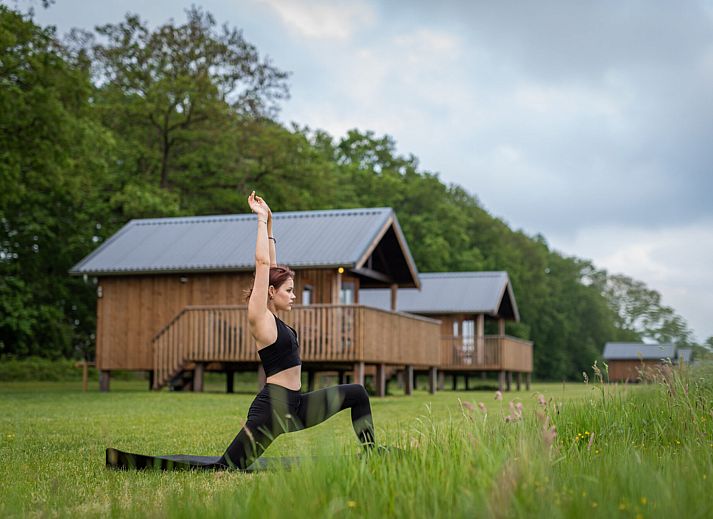 Ackerlodges Ruinerwold