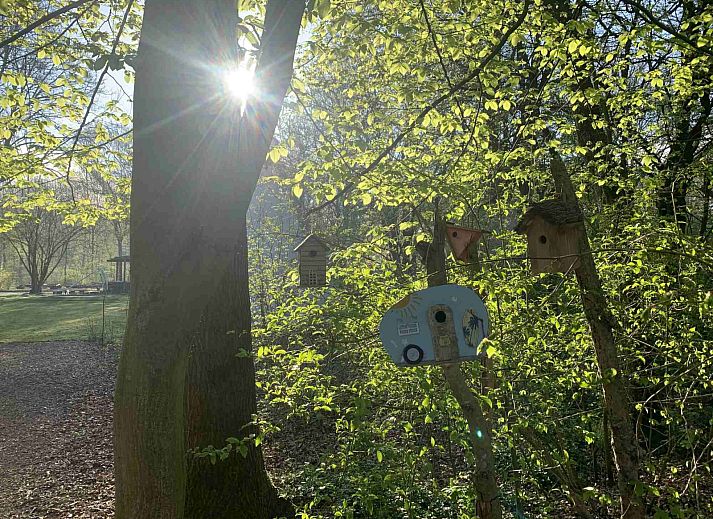 Buytenplaets Suydersee