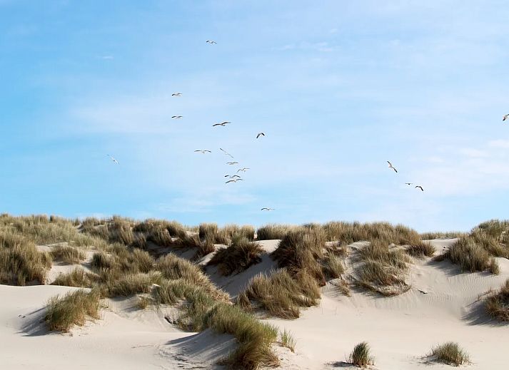 Landal West Terschelling