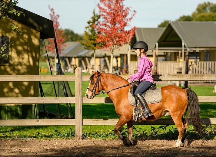 FarmCamps De Smulhoeve