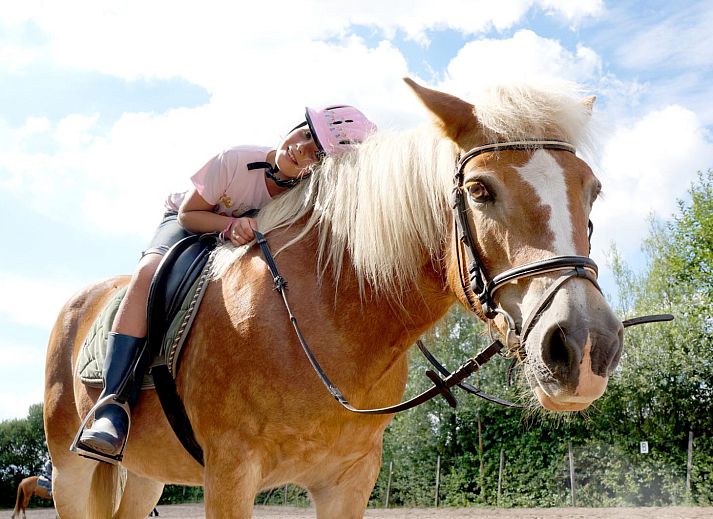 FarmCamps De Smulhoeve