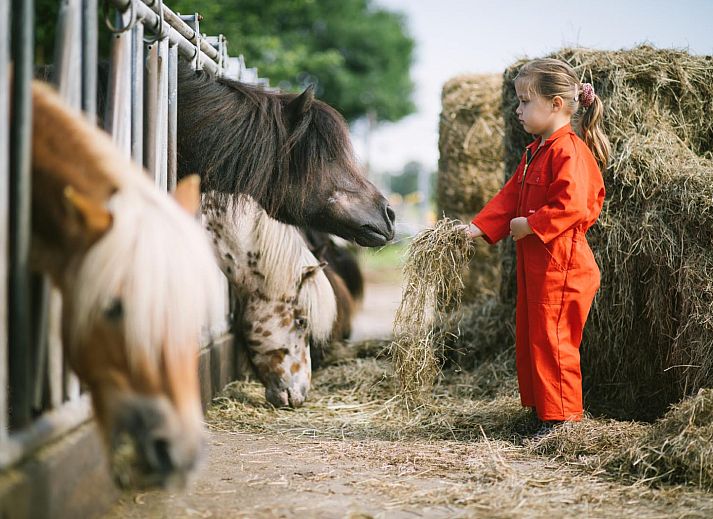 FarmCamps De Smulhoeve