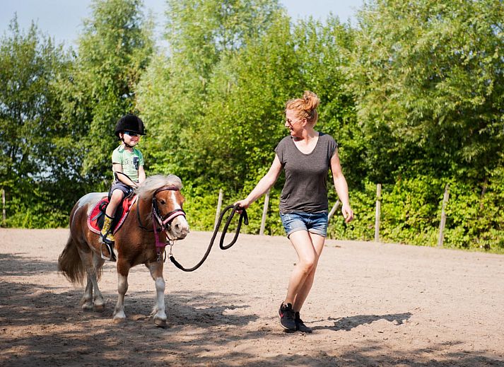 FarmCamps De Smulhoeve