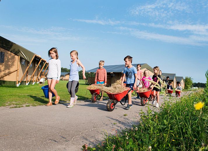 FarmCamps De Smulhoeve