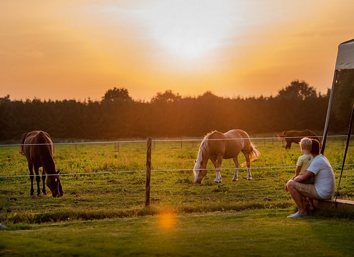FarmCamps De Smulhoeve