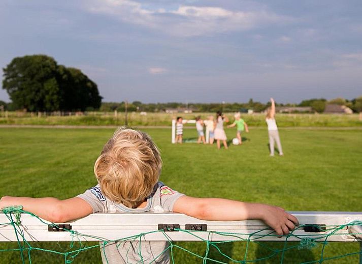 FarmCamps De Smulhoeve