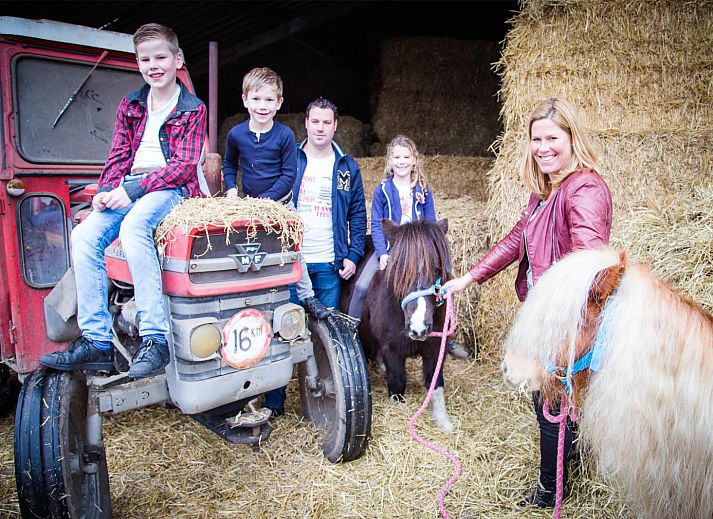 FarmCamps De Smulhoeve