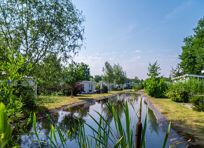 EuroParcs Reestervallei