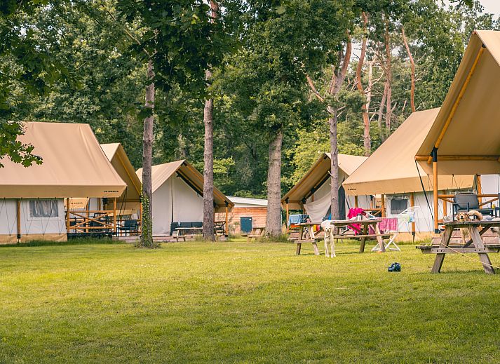 EuroParcs Reestervallei