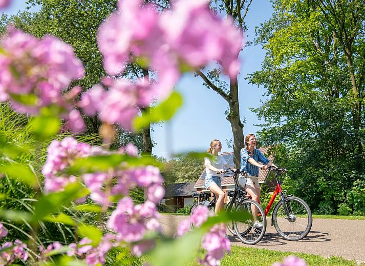 Landal Landgoed Bourtange