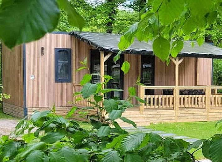 Boscamping Appelscha