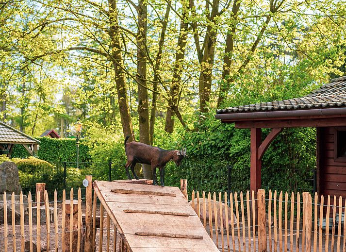 EuroParcs De Achterhoek