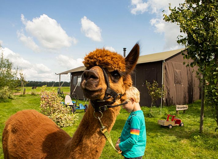 BoerenBed Hoeve de Betuwe