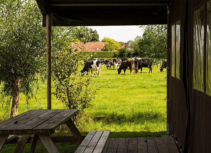 BoerenBed Hoeve de Betuwe