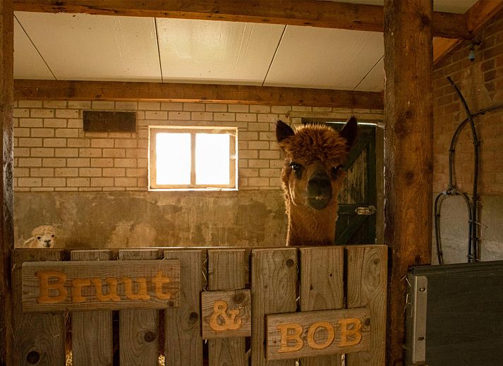 BoerenBed Hoeve de Betuwe