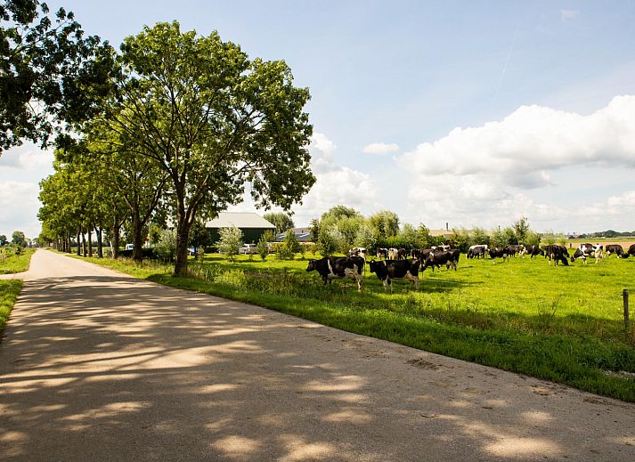 BoerenBed Hoeve de Betuwe