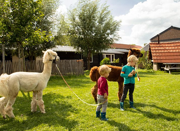 BoerenBed Hoeve de Betuwe