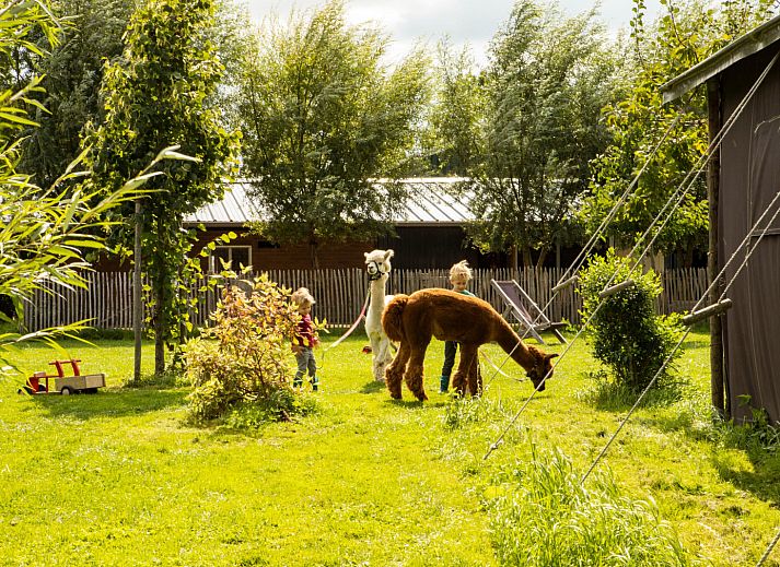 BoerenBed Hoeve de Betuwe