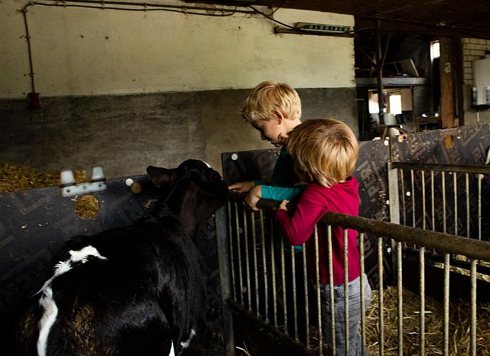 BoerenBed Hoeve de Betuwe