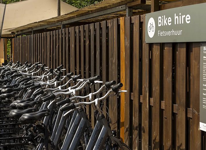 Roompot Kustpark Egmond aan Zee