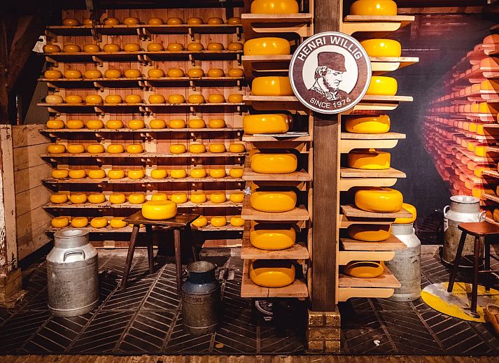 Roompot Kustpark Egmond aan Zee