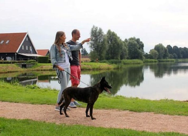 Vakantiepark Hof van Zeeland
