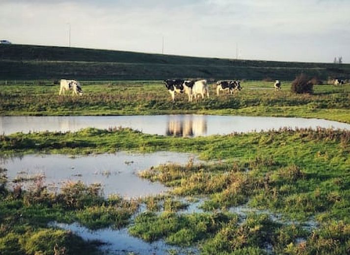 Vakantiepark Hof van Zeeland