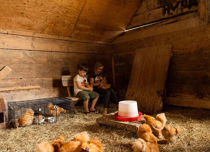 BoerenBed Landgoed Volenbeek