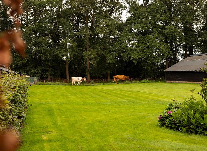 BoerenBed Landgoed Volenbeek