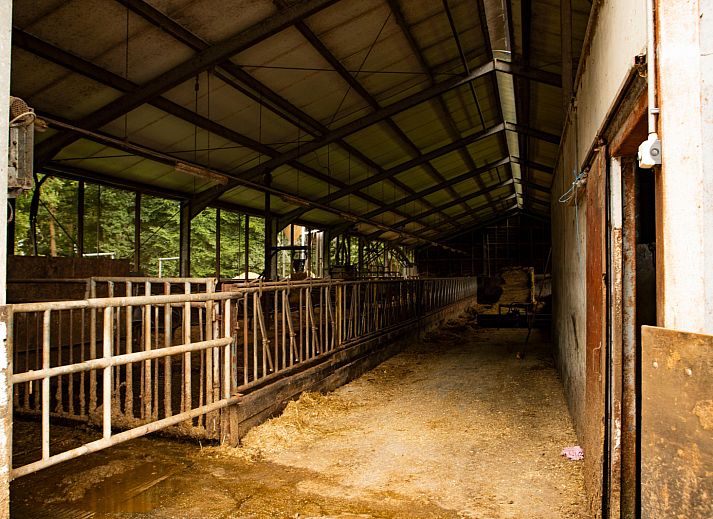 BoerenBed Landgoed Volenbeek