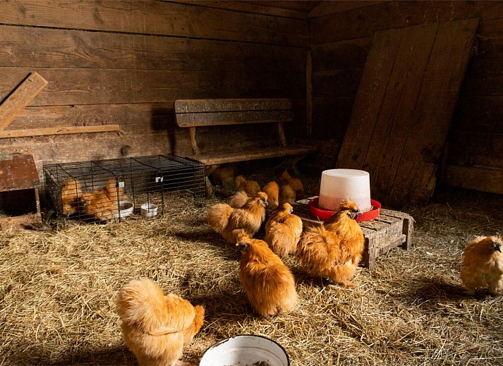 BoerenBed Landgoed Volenbeek