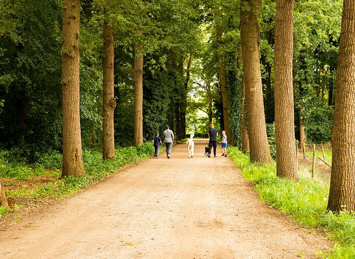 BoerenBed Landgoed Volenbeek