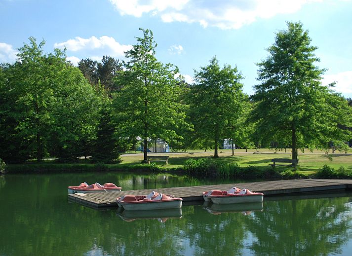 Parc de Witte Vennen