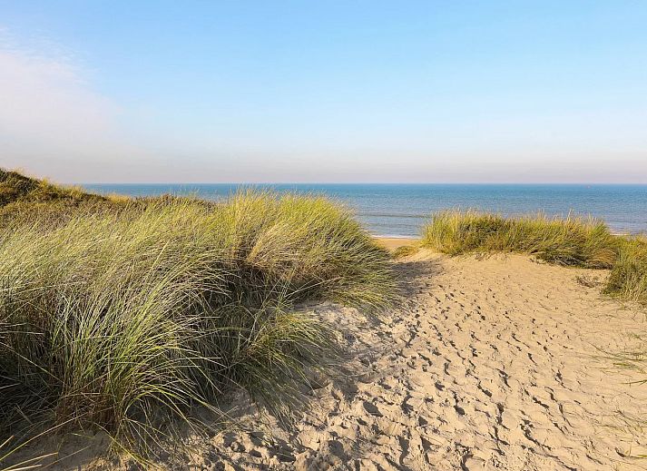 Landal Resort Haamstede