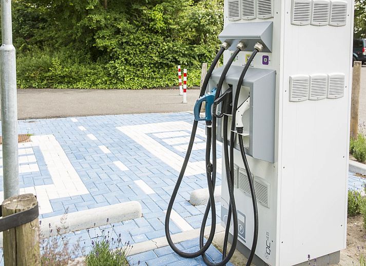 Landal Resort Haamstede