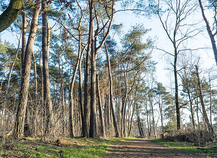 Hofparken De Bergvennen