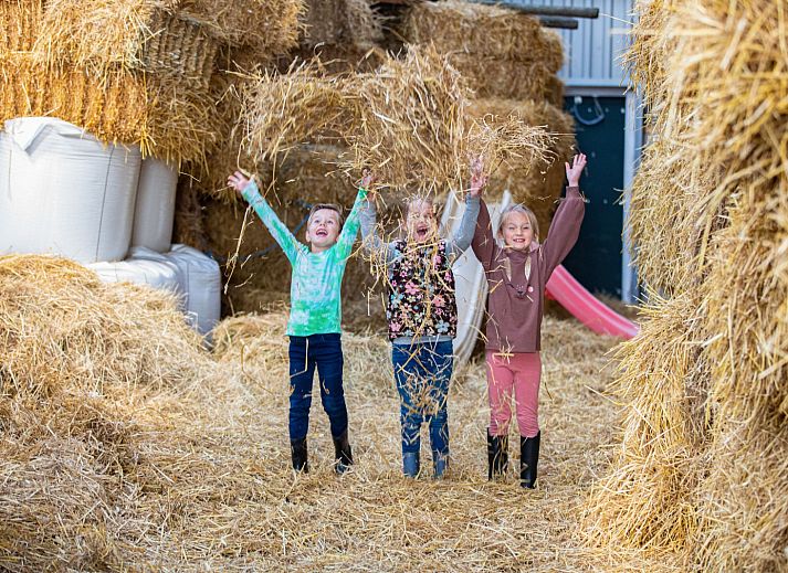 FarmCamps De Bonte Fries