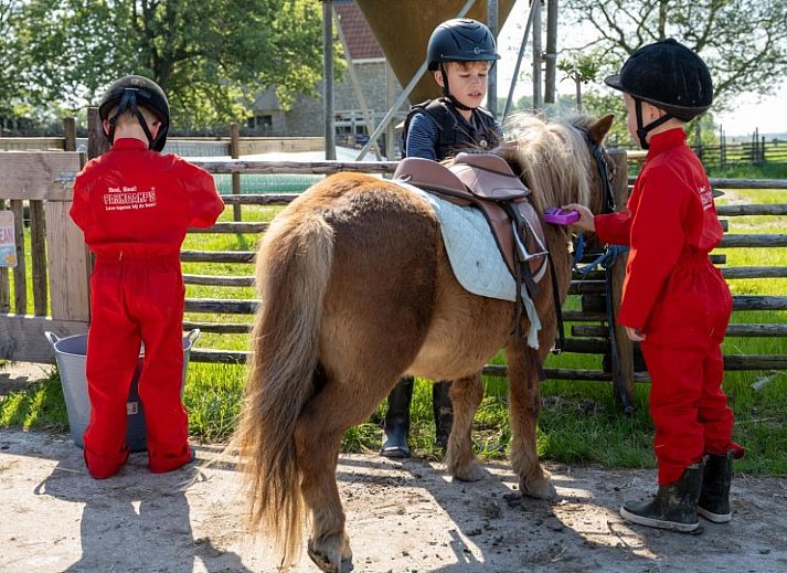 FarmCamps De Bonte Fries