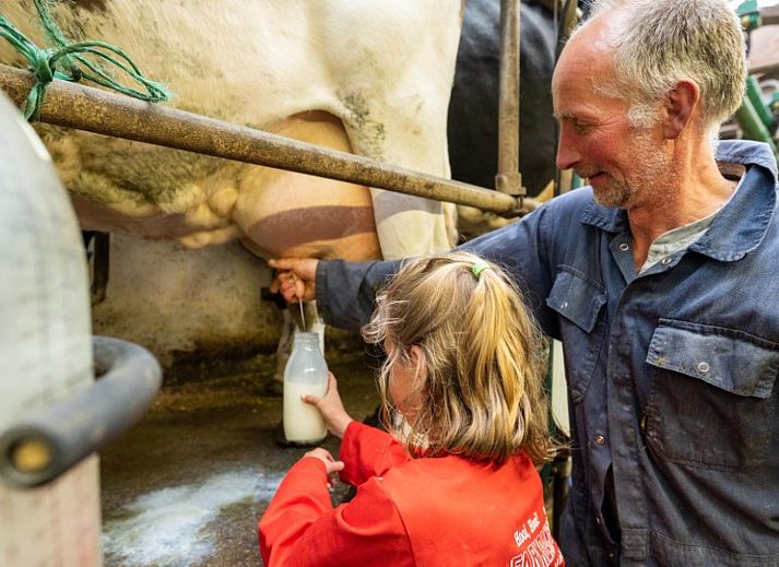 FarmCamps De Bonte Fries