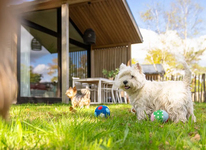 Landal Klein Oisterwijk